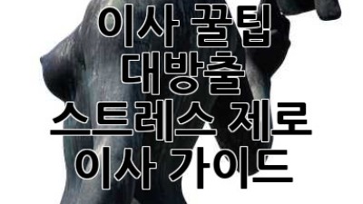 이사 꿀팁 대방출! 📦 스트레스 제로 이사 가이드 ✨