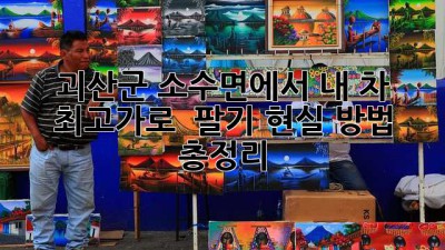 괴산군 소수면에서 내 차 최고가로 🚗💨 팔기? 현실 방법 총정리!